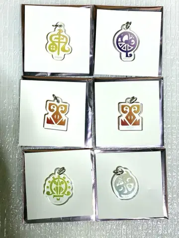 그노시아 별자리 아크릴 참 6개 세트 SQ 지나 시게미치 코멧 렘난