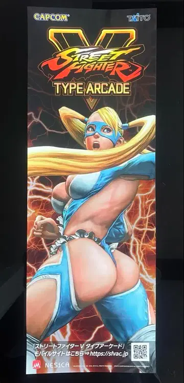 스트리트 파이터 V 단책 포스터 레인보우 미카