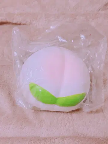 복숭아 스퀴즈