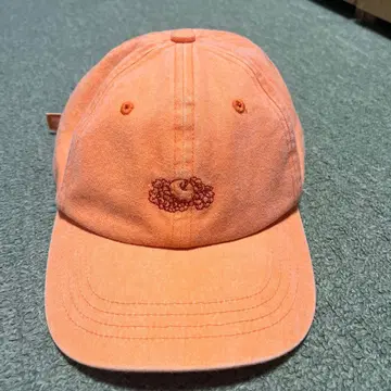 fruits of the room cap