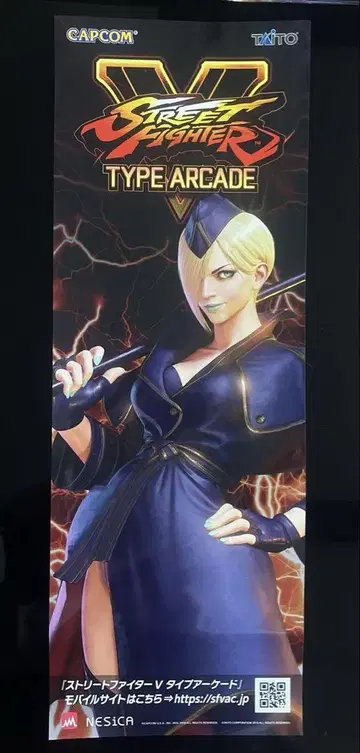 스트리트 파이터 V 단책 포스터 팔케 CAPCOM