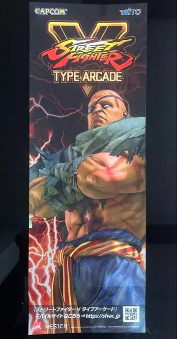 스트리트 파이터 V 단편 포스터 사가트 CAPCOM