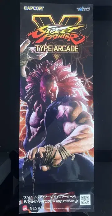 스트리트 파이터 V 단책 포스터 고우키 CAPCOM
