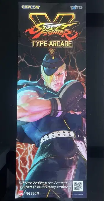 스트리트 파이터 V 단편 포스터 에드 CAPCOM