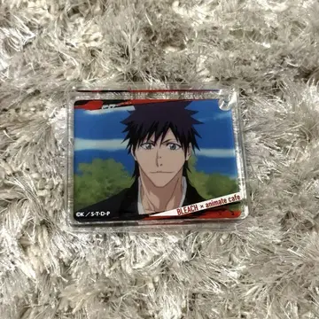 BLEACH 시바 카이엔 코롯타
