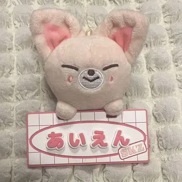 straykids SKZOO 네임 백참 폭시니 아이엔