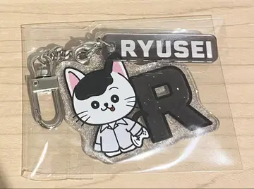 카이누마 류세 류세냥 키링