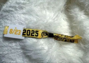 wild bunch 페스티벌 스트랩 2025