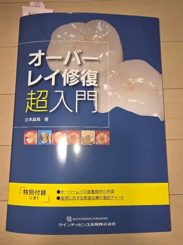 오버레이 복원 초입문 [재단됨]