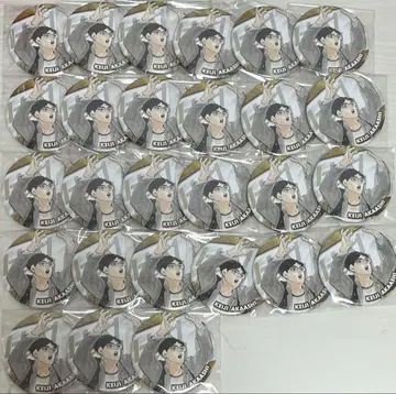 아카아시 케이지 컬렉션 캔뱃지 27개
