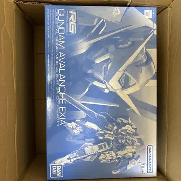 RG 건담 아발란체 엑시아