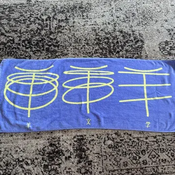 양문학 타월