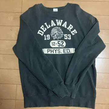 Champion DELAWARE 인디언 헤드 L