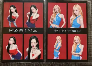 4컷 포토세트 WINTER 윈터 KARINA 카리나 aespa