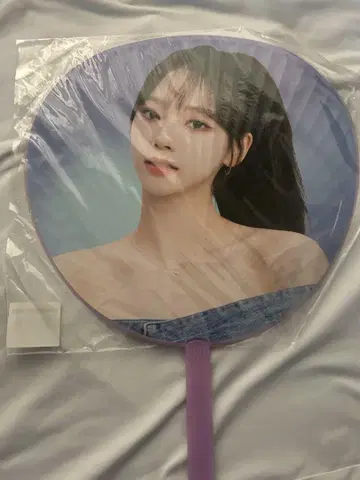 KARINA 공식 부채