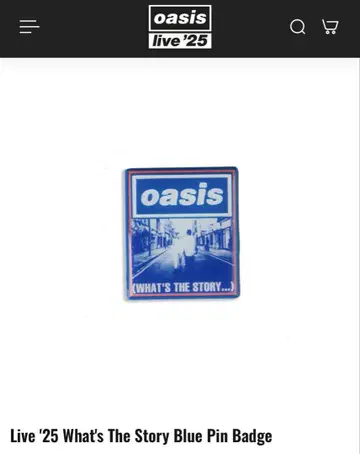 일본 출시 없음 oasis 핀 배지