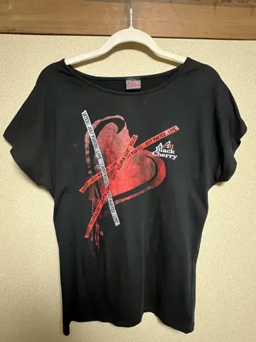 Acid Black Cherry 2015 투어 L 티셔츠