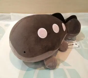 포켓몬스터 모후굿토 봉제 인형 두오 전체 길이 약 35cm