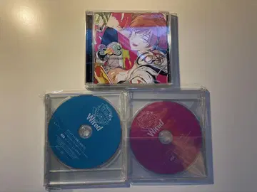 디어 보컬리스트 Wired 에이 대시