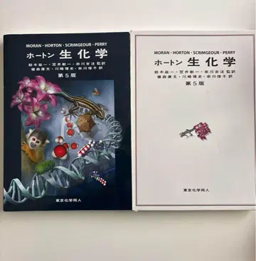 교과서