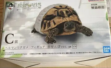 파충류&양서류 제일복권 C상