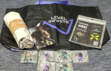 TGS2025 LEVEL INFINITE 델타포스 9점 쇼핑백