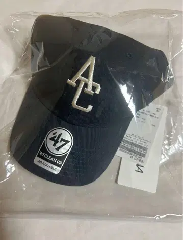 AP STUDIO [ AMERICANA/아메리카나 ] LOGO CAP