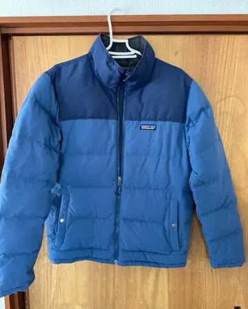 Patagonia 다운 자켓 파랑