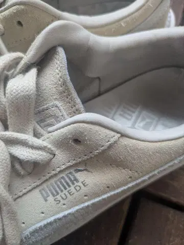 PUMA 스웨이드 베이지 스니커즈
