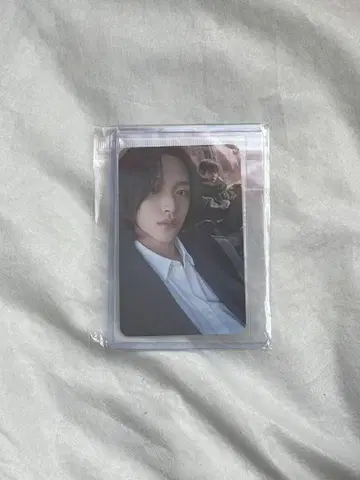 RIIZE 원빈 Love119 everline 럭키 드로우 트레이딩 카드