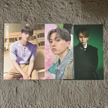 야기 유세이 트레이딩 카드
