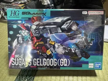 HG 1/144 겔구그 스가이기 (GQ)