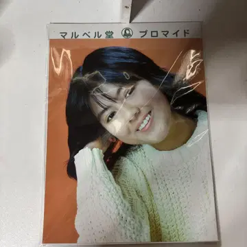 프로마이드 야쿠시마루 히로코