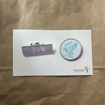 SEVENTEEN 'SVT' JUN 핀 배지 세트