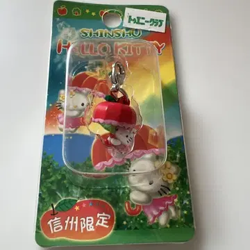 헤이세이 레트로 신슈 한정판 지역 한정 키티 지퍼 마스코트 사과 파라솔