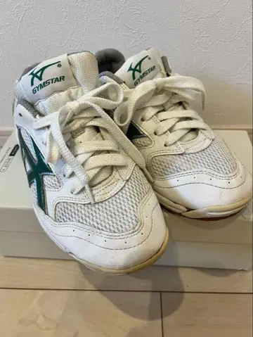 MIZUNO 미즈노 체육관 신발