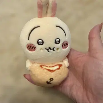 치이카와 피자만 토끼