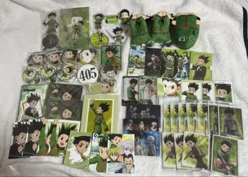 HUNTER x HUNTER 곤 세트