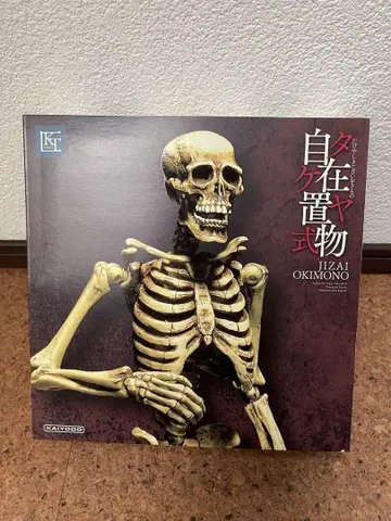 KAIYODO 자재입상 KT-066