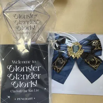 Wonder Wander World 응원봉 리본