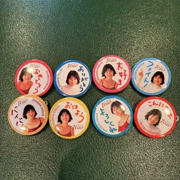 Teao 메시지 캔뱃지 8개 세트 히로스에 료코