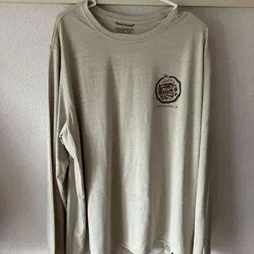 patagonia Capilene Cool Daily L 사이즈