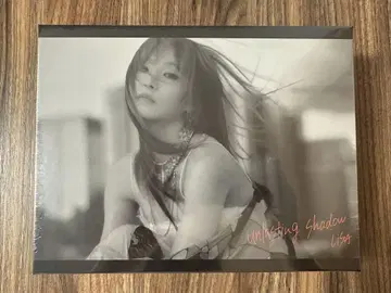 [ 새상품 ] LiSA 굿즈 unlasting shadow 직소 퍼즐