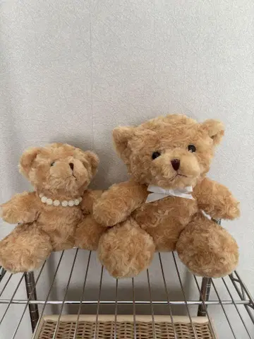 베이지색 곰 봉제 인형 2체 세트