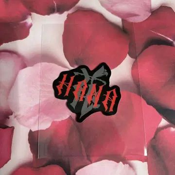 [ HANA ] 트레이딩 카드 스티커