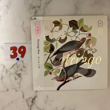 [ 2장 세트 ] 새 관찰 Kotringo Best/코트링고