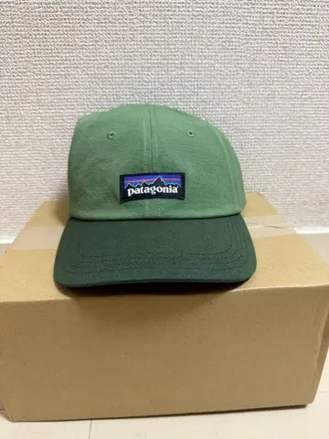 patagonia P-6 라벨 트레디셔널 캡