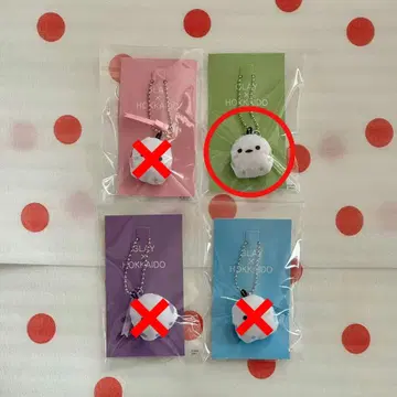 하코다테 공항 한정판 GLAY 시마연가 키링 그린 TAKURO