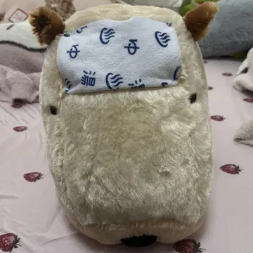 카피바라짱 봉제 인형 약 50cm