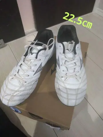 모나르시다 네오 3 화이트 22.5cm 미즈노